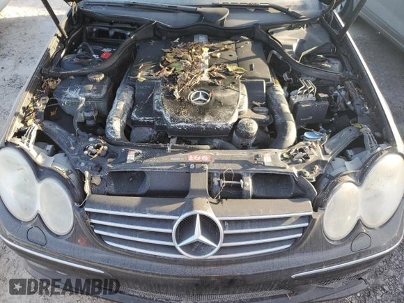 2005 Mercedes-Benz CLK 500 with VIN WDBTK75J65F161649, listed as a Copart auction lot 75284434 with Not Provided miles and Salvage Title. Bid and sale history available at DreamBid. Image 11.