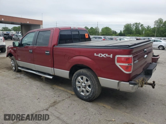 2013 Ford F-150 XL with VIN 1FTFW1ET7DFD24499, listed as a Copart auction lot 58368505 with 182,513 mi miles and Salvage title. Bid and sale history available at DreamBid. Image 2.