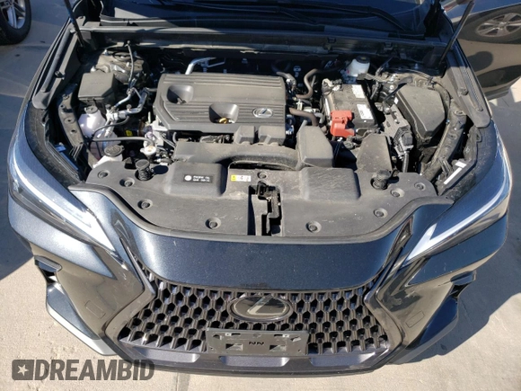 2022 Lexus NX 250 with VIN 2T2ADCEZ4NC001694, listed as a Copart auction lot 59778163 with 10,277 mi miles and . Bid and sale history available at DreamBid. Image 12.