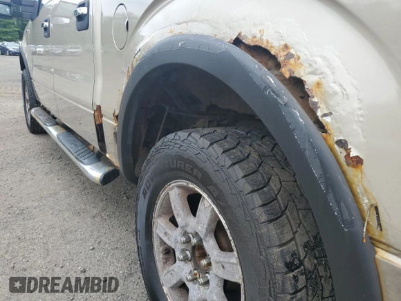 2010 Ford F-150 XL with VIN 1FTEW1E88AFD58115, listed as a Copart auction lot 62996725 with 179,894 mi miles and Clean title. Bid and sale history available at DreamBid. Image 12.