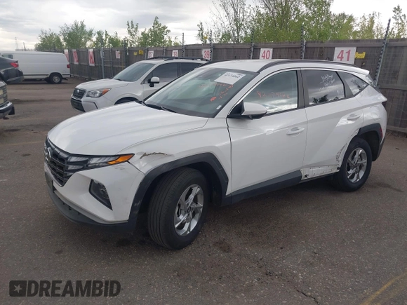 2024 Hyundai Tucson SEL with VIN 5NMJBCDE2RH362446, listed as a IAAI auction lot 42174042 with 34,066 mi miles and . Bid and sale history available at carsss.com. Image 2.