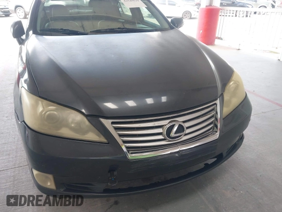 2011 Lexus ES 330 with VIN JTHBK1EG6B2446495, listed as a IAAI auction lot 42549539 with 284,313 mi miles and . Bid and sale history available at DreamBid. Image 6.