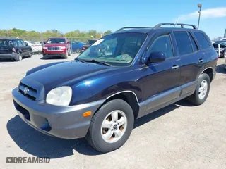 2005 Hyundai Santa Fe GLS with VIN KM8SC73E95U956010, listed as a IAAI auction lot 42134272 with 190,895 mi miles. Bid and sale history available at carsss.com. Image 2.