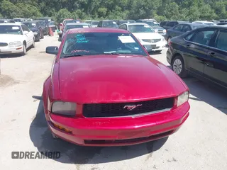2006 Ford Mustang Standard with VIN 1ZVFT80N565169967, listed as a IAAI auction lot 42632504 with 168,239 mi miles and . Bid and sale history available at DreamBid. Image 6.