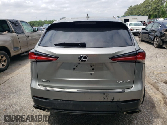 2019 Lexus NX 300 with VIN JTJBARBZ2K2189373, listed as a Copart auction lot 54381935 with Not provided miles and Salvage title. Bid and sale history available at DreamBid. Image 6.