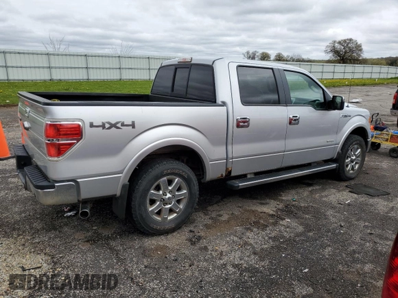 2013 Ford F-150 XL with VIN 1FTFW1ET4DKE80958, listed as a Copart auction lot 55537585 with 232,290 mi miles and Clean Title. Bid and sale history available at DreamBid. Image 3.