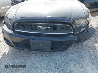 2013 Ford Mustang V6 with VIN 1ZVBP8AM7D5203672, listed as a IAAI auction lot 42104121 with 215,815 mi miles. Bid and sale history available at carsss.com. Image 12.