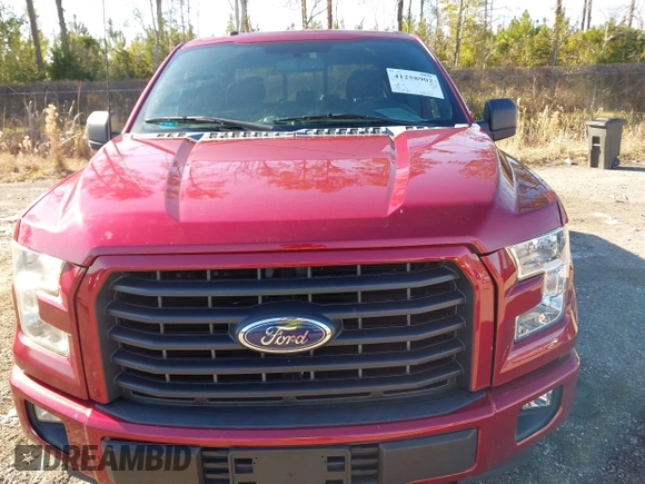 2017 Ford F-150 XL with VIN 1FTEW1EG0HFB05453, listed as a IAAI auction lot 41258902 with 120,411 mi miles. Bid and sale history available at carsss.com. Image 6.