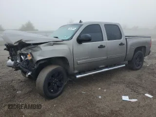 2007 Chevrolet Silverado 1500 LS with VIN 3GCEC13C77G548060, listed as a Copart auction lot 85428924 with 230,104 mi miles and Salvage Title. Bid and sale history available at DreamBid. Image 1.
