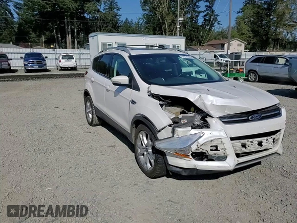 2016 Ford Escape Titanium with VIN 1FMCU9JX5GUC44579, listed as a Copart auction lot 54974965 with 113,776 mi miles and Salvage Title. Bid and sale history available at DreamBid. Image 14.