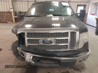 2010 Ford F-150 XL with VIN 1FTFW1EVXAFB22625, listed as a IAAI auction lot 41639274 with 192,778 mi miles. Bid and sale history available at carsss.com. Image 12.