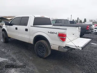 2014 Ford F-150 XL with VIN 1FTFW1EF1EFB50926, listed as a IAAI auction lot 41721129 with 154,174 mi miles. Bid and sale history available at carsss.com. Image 3.