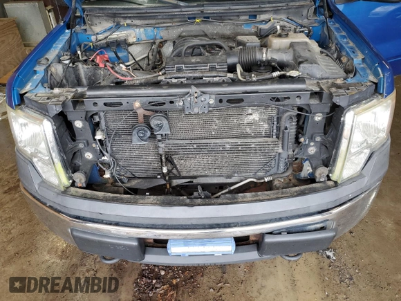 2010 Ford F-150 XL with VIN 1FTEX1E88AFD02818, listed as a Copart auction lot 64390285 with Not provided miles and Clean title. Bid and sale history available at DreamBid. Image 11.