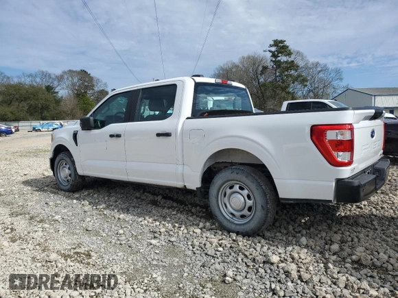 2021 Ford F-150 XL with VIN 1FTEW1CPXMKE96003, listed as a Copart auction lot 42162035 with 28,887 mi miles and Clean title. Bid and sale history available at DreamBid. Image 2.
