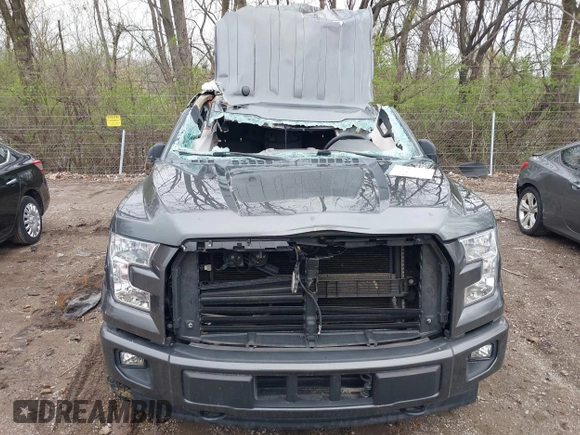 2017 Ford F-150 XL with VIN 1FTEW1EG0HFB78127, listed as a IAAI auction lot 41921032 with Not Provided miles. Bid and sale history available at carsss.com. Image 12.