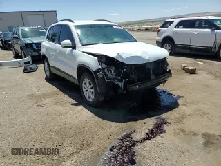 2016 Volkswagen Tiguan S z VIN WVGAV7AX6GW501102, wystawiony jako Copart lot #54174845 z przebiegiem 46 616 mil mil oraz Szkoda całkowita • Salvage title. Historia ofert i sprzedaży dostępna na DreamBid. Obrazek 14.