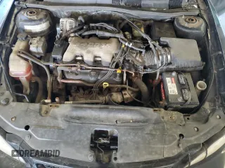 2004 Pontiac Grand Am SE1 with VIN 1G2NF52EX4M521563, listed as a Copart auction lot 45811245 with 316,031 mi miles and Salvage Title. Bid and sale history available at carsss.com. Image 11.
