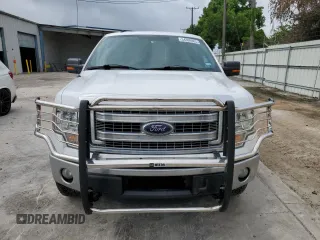 2013 Ford F-150 XL with VIN 1FTFX1ET9DKG06437, listed as a Copart auction lot 54309865 with 127,031 mi miles and Clean Title. Bid and sale history available at carsss.com. Image 5.