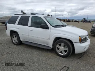 2007 Chevrolet TrailBlazer LS with VIN 1GNDT13S672122024, listed as a Copart auction lot 53678085 with 203,456 mi miles and Salvage Title. Bid and sale history available at DreamBid. Image 4.