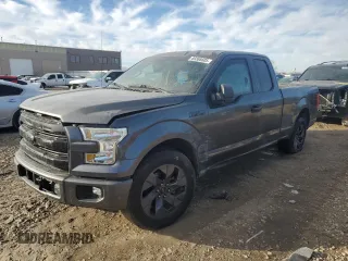 2017 Ford F-150 XL with VIN 1FTEX1CP3HFA43031, listed as a Copart auction lot 89388605 with 176,948 mi miles and Salvage Title. Bid and sale history available at carsss.com. Image 1.