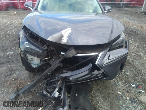 2015 Lexus NX 300h with VIN JTJYWRBZ3F2002482, listed as a IAAI auction lot 41542041 with 251,000 mi miles and . Bid and sale history available at DreamBid. Image 6.