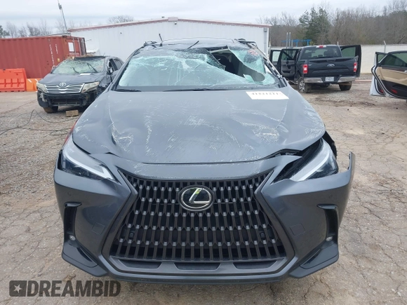2024 Lexus NX 250 Premium with VIN JTJGDCAZ5R2014024, listed as a IAAI auction lot 41221211 with Not Provided miles and . Bid and sale history available at DreamBid. Image 11.