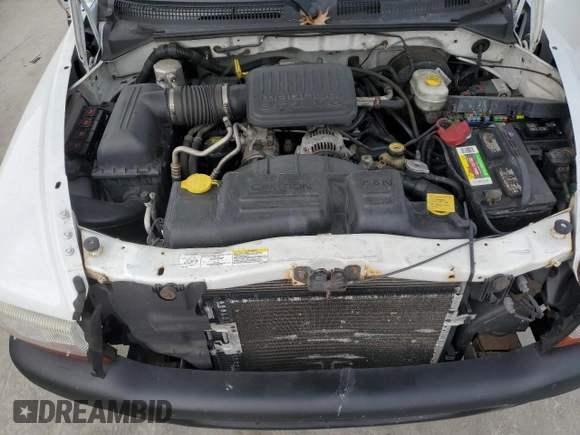2004 Dodge Dakota with VIN 1D7FL16K34S621135, listed as a Copart auction lot 46485985 with 202,197 mi miles and Salvage Title. Bid and sale history available at carsss.com. Image 11.