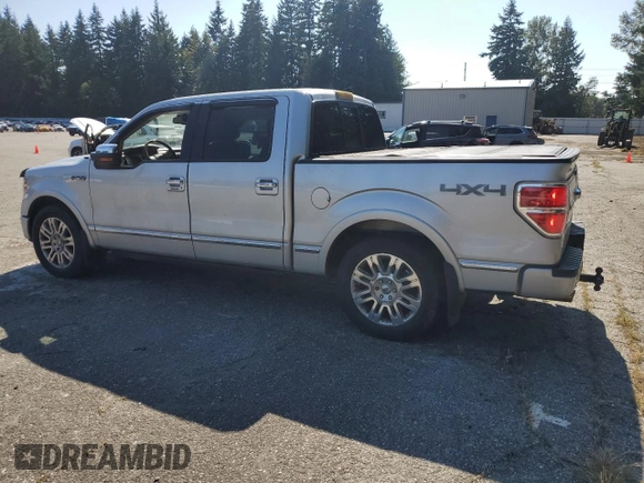 2009 Ford F-150 XL with VIN 1FTPW14V69FA48640, listed as a Copart auction lot 65913475 with 134,839 mi miles and Salvage title. Bid and sale history available at DreamBid. Image 2.