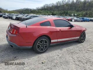 2010 Ford Mustang V6 with VIN 1ZVBP8AN1A5131923, listed as a Copart auction lot 53170985 with 170,449 mi miles and Salvage Title. Bid and sale history available at DreamBid. Image 3.