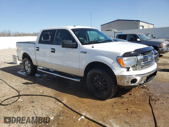 2013 Ford F-150 XL with VIN 1FTFW1EF0DFA71889, listed as a Copart auction lot 47989605 with 282,091 mi miles and Salvage Title. Bid and sale history available at carsss.com. Image 4.