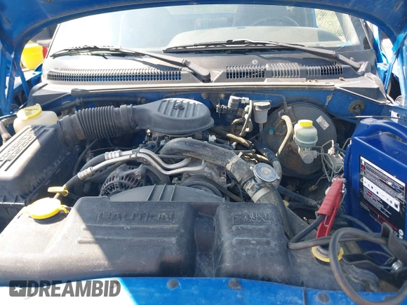 1998 Dodge Dakota SLT with VIN 1B7FL26X8WS651715, listed as a IAAI auction lot 42665446 with Not provided miles and . Bid and sale history available at DreamBid. Image 10.