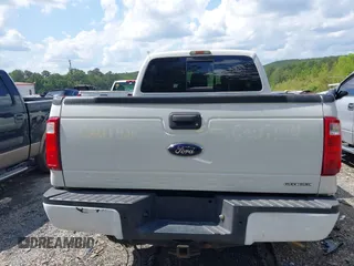 2010 Ford F-250 XL with VIN 1FTSW2BRXAEB30029, listed as a IAAI auction lot 42185708 with 283,511 mi miles and . Bid and sale history available at DreamBid. Image 16.
