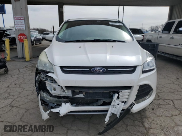 2013 Ford Escape SE with VIN 1FMCU0G97DUD84861, listed as a Copart auction lot 49396135 with 178,213 mi miles and Clean Title. Bid and sale history available at DreamBid. Image 5.