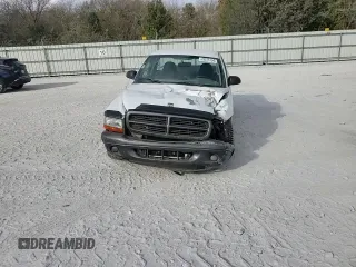 2002 Dodge Dakota with VIN 1B7FL16X22S676436, listed as a Copart auction lot 78075154 with 125,518 mi miles and Salvage Title. Bid and sale history available at DreamBid. Image 11.