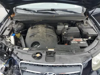 2009 Hyundai Santa Fe SE with VIN 5NMSH13E59H292644, listed as a Copart auction lot 60900555 with 205,048 mi miles and Salvage title. Bid and sale history available at DreamBid. Image 12.