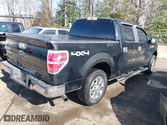 2009 Ford F-150 XL with VIN 1FTRW14829FB12059, listed as a IAAI auction lot 41686110 with 247,892 mi miles and . Bid and sale history available at DreamBid. Image 4.