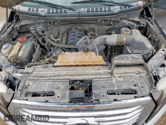 2016 Ford F-150 XLT with VIN 1FTEW1EF3GKD36571, listed as a Copart auction lot 59900635 with 205,664 mi miles and Salvage title. Bid and sale history available at DreamBid. Image 11.