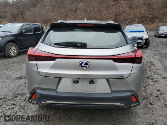 2022 Lexus UX 250h F Sport with VIN JTHR9JBH6N2060011, listed as a Copart auction lot 48199415 with Not Provided miles and Salvage Title. Bid and sale history available at DreamBid. Image 6.