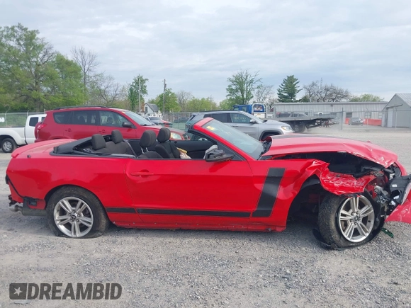 2014 Ford Mustang V6 with VIN 1ZVBP8EM3E5208282, listed as a IAAI auction lot 42104971 with Not Provided miles. Bid and sale history available at carsss.com. Image 13.