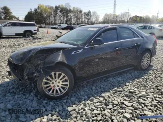 2011 Cadillac CTS Performance with VIN 1G6DJ5ED2B0153556, listed as a Copart auction lot 50429865 with Not Provided miles and Salvage Title. Bid and sale history available at DreamBid. Image 1.