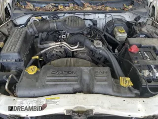 2003 Dodge Dakota with VIN 1D7FL16X73S307529, listed as a Copart auction lot 73568784 with 314,924 mi miles and Salvage Title. Bid and sale history available at carsss.com. Image 12.