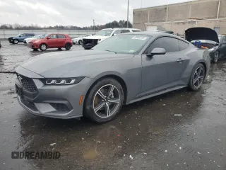 2024 Ford Mustang EcoBoost with VIN 1FA6P8TH8R5119281, listed as a Copart auction lot 49906265 with 8,024 mi miles and Salvage Title. Bid and sale history available at carsss.com. Image 1.