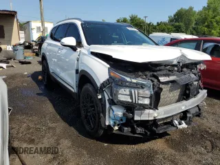 2021 Hyundai Santa Fe Hybrid SEL Premium with VIN KM8S3DA19MU012172, listed as a Copart auction lot 65465524 with 44,683 mi miles and Salvage Title. Bid and sale history available at carsss.com. Image 4.