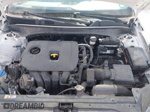 2019 Kia Forte LXS with VIN 3KPF24AD1KE098981, listed as a IAAI auction lot 41801267 with 53,055 mi miles. Bid and sale history available at carsss.com. Image 10.