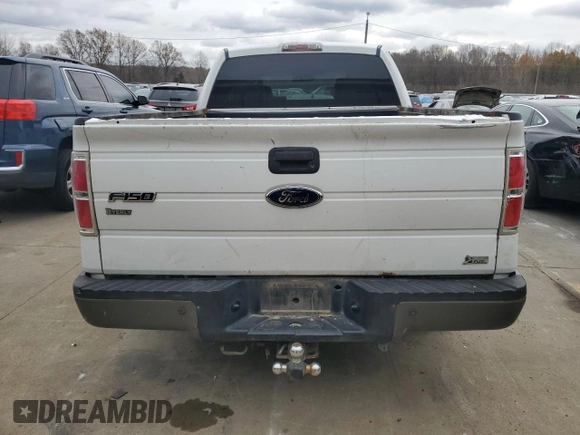 2010 Ford F-150 XL with VIN 1FTFX1CV6AKA84169, listed as a Copart auction lot 81760144 with 281,005 mi miles and Salvage Title. Bid and sale history available at carsss.com. Image 6.