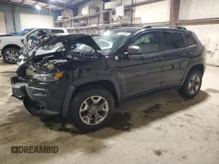 2019 Jeep Cherokee Trailhawk with VIN 1C4PJMBN1KD389240, listed as a Copart auction lot 43072055 with 100,660 mi miles and Salvage Title. Bid and sale history available at DreamBid. Image 1.