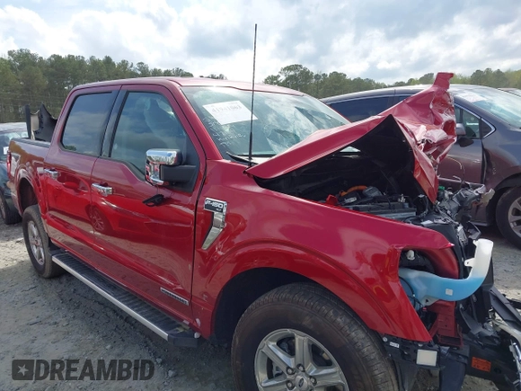 2024 Ford F-150 XLT with VIN 1FTFW3LD8RFA31497, listed as a IAAI auction lot 41941063 with 1 mi miles. Bid and sale history available at carsss.com. Image 13.