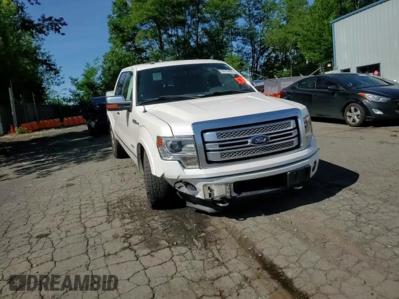 2013 Ford F-150 XL with VIN 1FTFW1ETXDFC95631, listed as a Copart auction lot 60252685 with 136,427 mi miles and Salvage title. Bid and sale history available at DreamBid. Image 13.