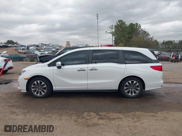2022 Honda Odyssey EX-L with VIN 5FNRL6H76NB002248, listed as a IAAI auction lot 41818243 with 32,952 mi miles and . Bid and sale history available at DreamBid. Image 14.