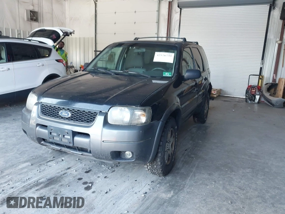 2004 Ford Escape XLT z VIN 1FMYU93114KB49698, wystawiony jako IAAI lot #42576733 z przebiegiem 317 848 mil mil oraz . Historia ofert i sprzedaży dostępna na DreamBid. Obrazek 2.